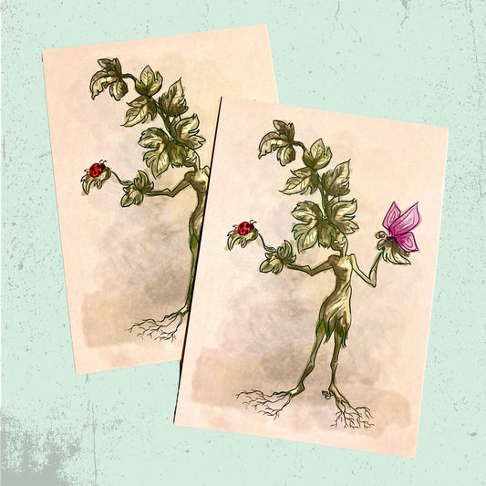 Parsley Herb Print